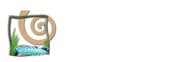 oikos-logo