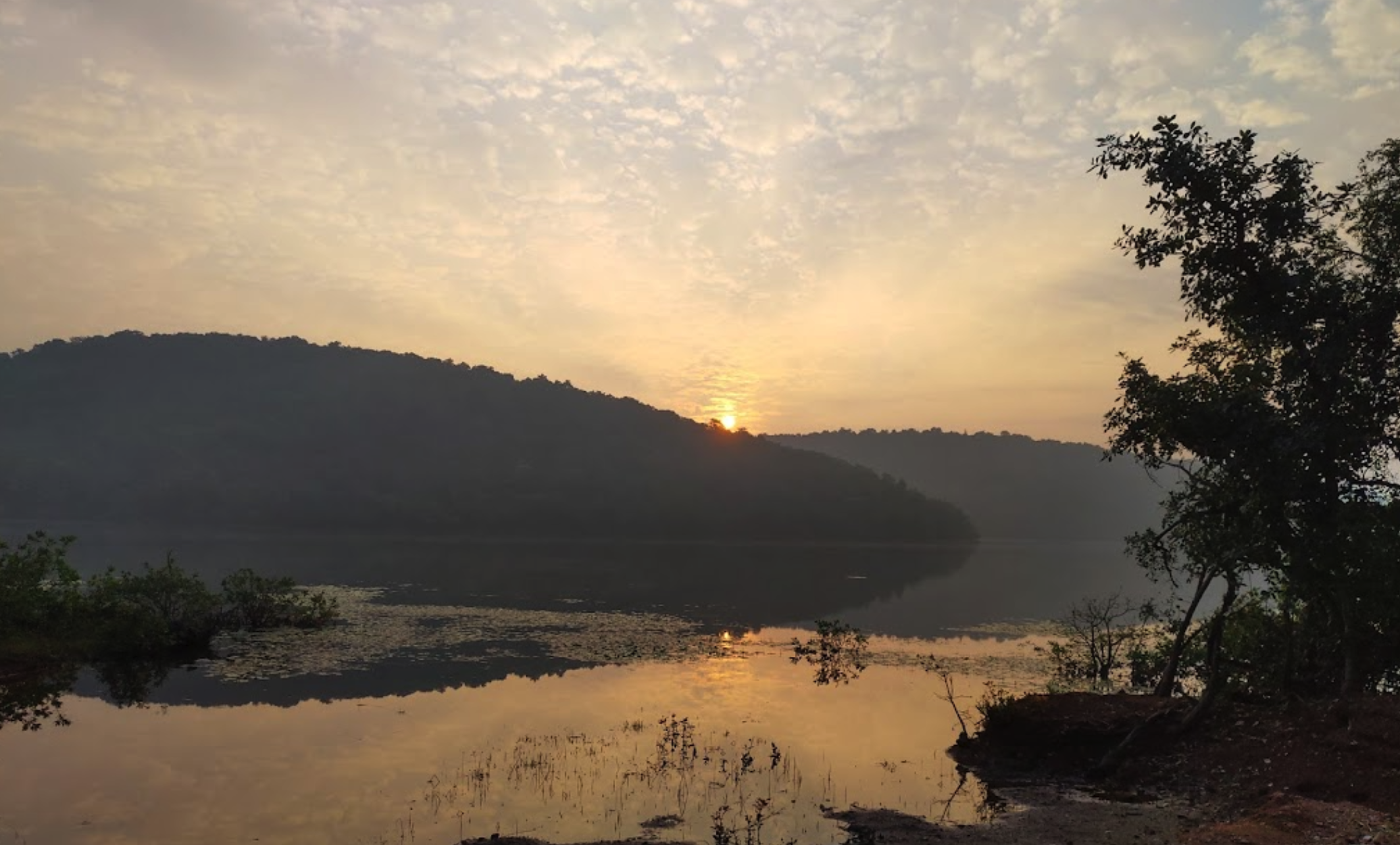 Dhamapur Lake Photo : Pranav Shelake